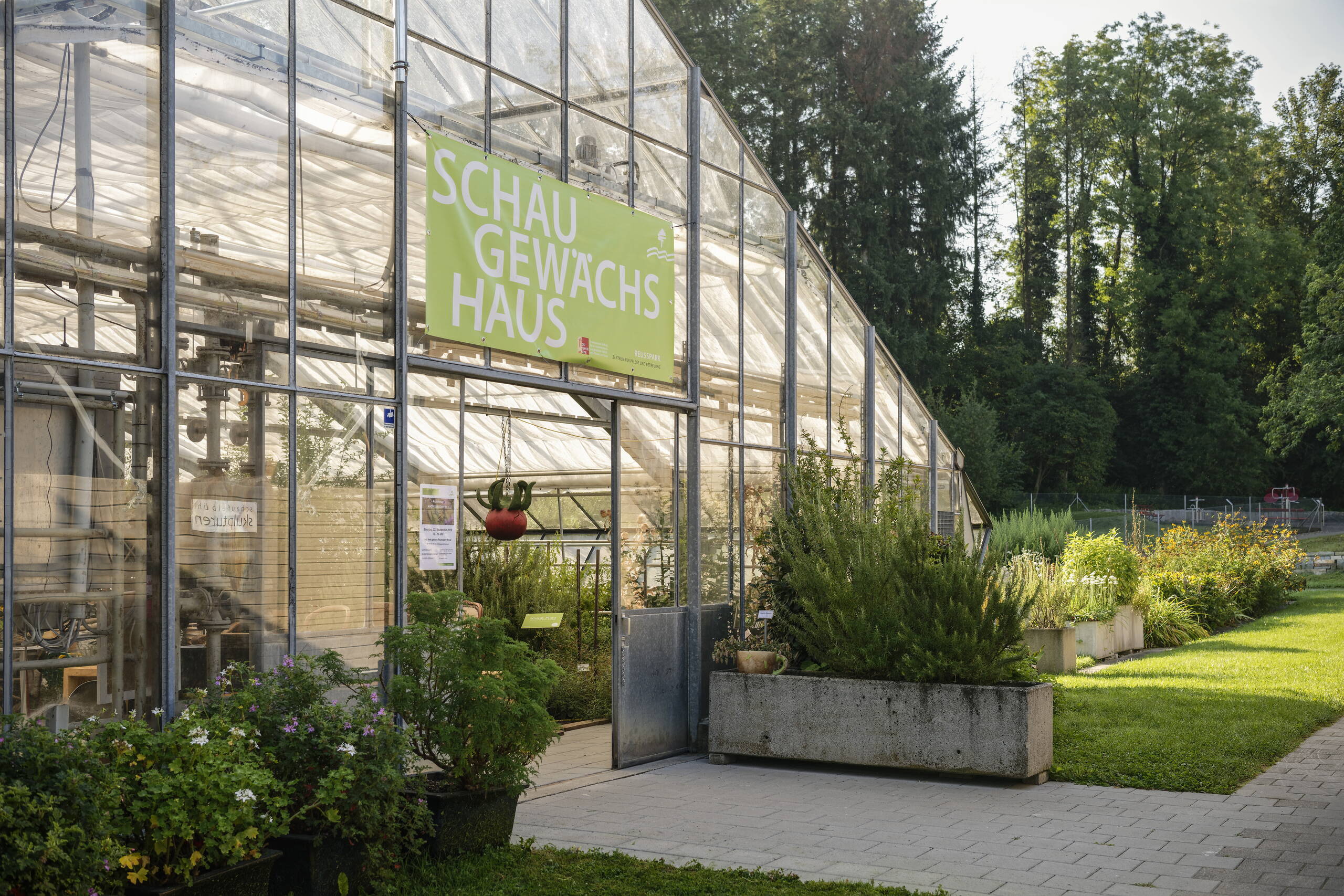 Eingang des Schaugewächshauses mit Tomaten von ProSpecieRara