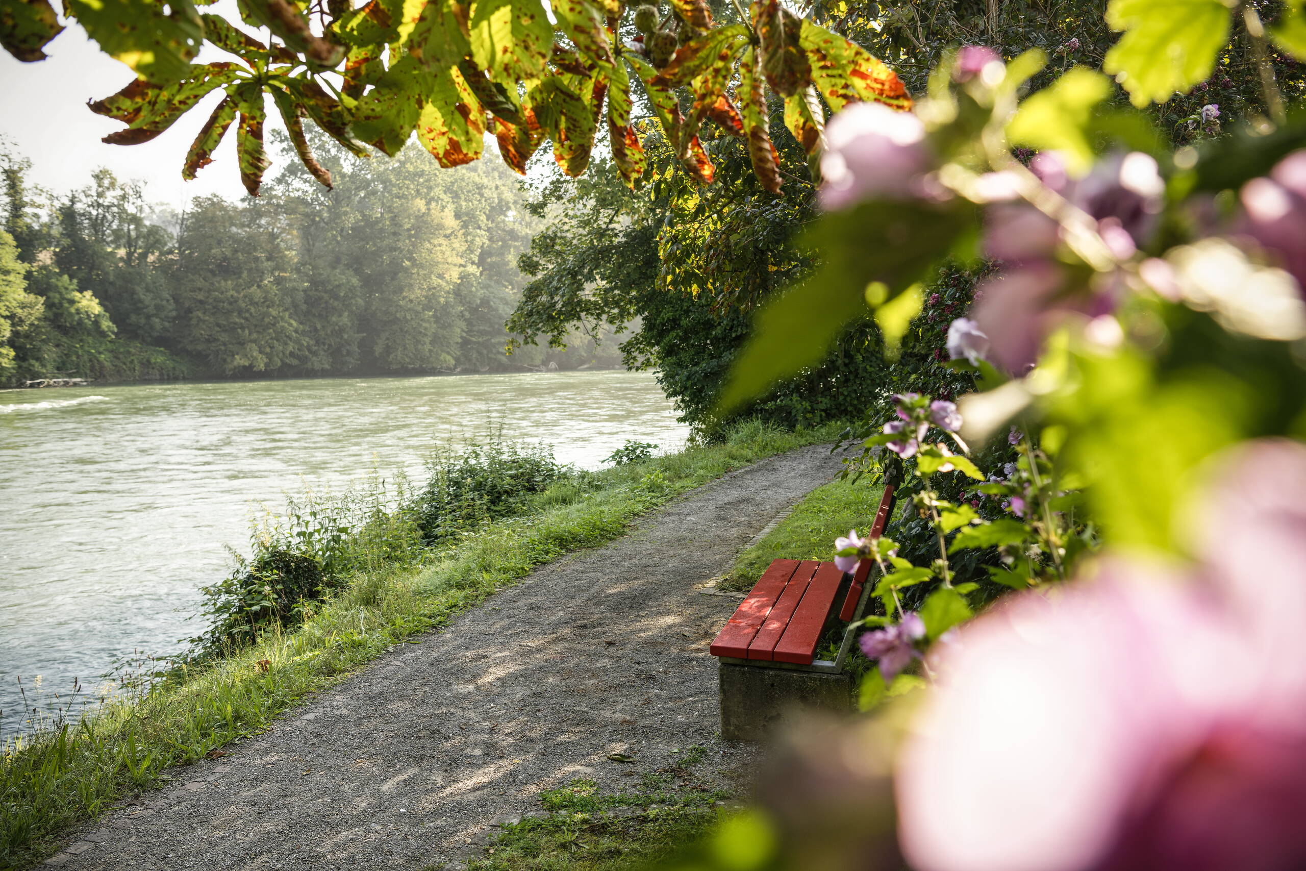 Spazierweg und Sitzbank an der Reuss